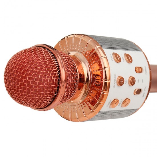 WS858L Wireless bluetooth Karaoke KTV Audio Live Microphone Speaker Stereo Singing Player
