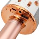 WS858L Wireless bluetooth Karaoke KTV Audio Live Microphone Speaker Stereo Singing Player WS858L Wireless bluetooth Karaoke KTV Audio Live Microphone Speaker Stereo Singing Player