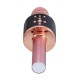 bluetooth Wireless Karaoke Microphone Handheld Microphone with Dynamic Light for Children and Adults with Speaker Recording Radio bluetooth Wireless Karaoke Microphone Handheld Microphone with Dynamic Light for Children and Adults with Speaker Recording Radio