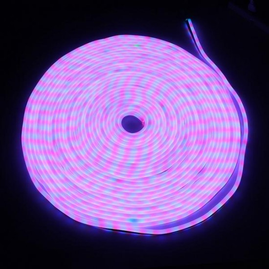 30M 2835 SMD Flexible LED Soft Neon Rope Strip Light Xmas Outdoor Waterproof 220V