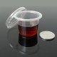30pcs 35ml Clear Storage Boxes Containers with Lids Reusable for Liquid Accessories Lab 30pcs 35ml Clear Storage Boxes Containers with Lids Reusable for Liquid Accessories Lab
