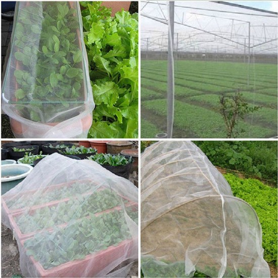 Insect Net Insect Net Encryption Mesh Gauze Net