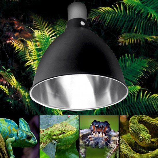 E27 Ceramic Heat UV UVB Lamp Light Holder Reptile Tortoise Lampshade with Switch E27 Ceramic Heat UV UVB Lamp Light Holder Reptile Tortoise Lampshade with Switch