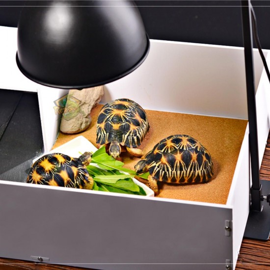 E27 Ceramic Heat UV UVB Lamp Light Holder Reptile Tortoise Lampshade with Switch