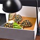 E27 Ceramic Heat UV UVB Lamp Light Holder Reptile Tortoise Lampshade with Switch E27 Ceramic Heat UV UVB Lamp Light Holder Reptile Tortoise Lampshade with Switch