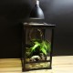 E27 Ceramic Heat UV UVB Lamp Light Holder Reptile Tortoise Lampshade with Switch