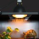 E27 Ceramic Heat UV UVB Lamp Light Holder Reptile Tortoise Lampshade with Switch