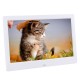 10 Inch 1024x600 HD IPS LCD Digital Photo Frame Audio Video Player Support SD USB MMC MS Card with Remote Control