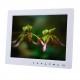 10 Inch 16:9 1080P Digital Photo Frame Album Music Player with Remote Control