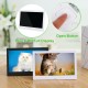 7 /8/10 inch Screen Digital Photo Frame HD 1024x600 LED Backlight Full Function Picture Video Electronic Album