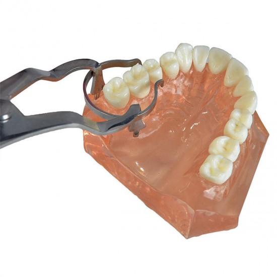 Dental Set of Sectional Contoured Matrices Matrix Ring Delta Add-On Wedges Plier Dental Tools