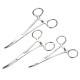 Self Locking Stainless Steel Straight Curved Forceps Nursing 12.5/14/16cm Self Locking Stainless Steel Straight Curved Forceps Nursing 12.5/14/16cm