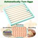 220V Chicken Eggs 360° Turner Automatic Duck Quail Bird Poultry Egg Incubator Tray