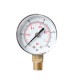 TS-Y504-15/30/60/100/160/300psi 52mm Dial 1/4 BSPT Pressure Gauge TS-Y504-15/30/60/100/160/300psi 52mm Dial 1/4 BSPT Pressure Gauge