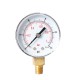 TS-Y508-15/30/60/100/160/300psi 52mm Dial 1/8 BSPT Pressure Gauge TS-Y508-15/30/60/100/160/300psi 52mm Dial 1/8 BSPT Pressure Gauge