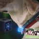 CC2 Smart Compact Camera 2K 1080P Vlog Camera Infrared Night Vision Mini Camera FPV Camera CC2 Smart Compact Camera 2K 1080P Vlog Camera Infrared Night Vision Mini Camera FPV Camera