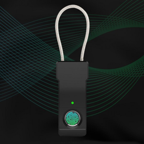 Fingerprint Padlock Smart Biometric Cabinet Luggage Suitcase Door Lock USB Charging