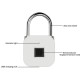 USB Smart Fingerprint Lock Rechargeable Keyless IP66 Waterproof Store Up To 39 Fingerprints for Door Luggage Padlock