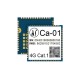 4G Full Netcom LTE IoT Wireless Communication Module Ultra-small Ca-01 GPIO/UART/ADC 4G Full Netcom LTE IoT Wireless Communication Module Ultra-small Ca-01 GPIO/UART/ADC