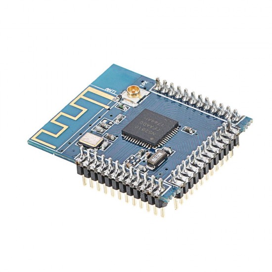 NRF52810 bluetooth Module BLE 4.2 Low Power Bluetooth External Antenna IPEX Support Multi-Protocol