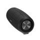BW-WA1 12W Wireless bluetooth 5.0 Speaker Dual Passive Diaphragm TWS Stereo TF Card U Disk Speaker with Mic