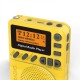 DAB+ Digital FM 174–240MHz Radio LCD Display SD Card Speaker Music MP3 Player Loudspeaker