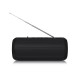 NRB1 10W Wireless bluetooth 5.0 Speaker FM Radio Dual Passive Diaphragm TWS NFC Bass Stereo Outdoors Soundbar with Mic