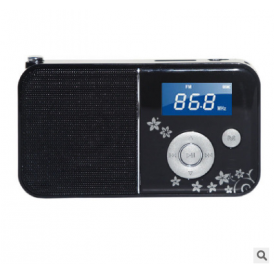 Panda DS-111 FM Radio TF Card Portable Computer Speaker WMA MP3 Music Player