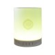 Quran Portable bluetooth Speaker Remote Control LED Touch Lamp TF Card FM Radio Headset Speaker