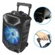 PI12 Bluetooth Speakers DJ Light Speaker High Power Column 12 innch Woofer Portable Karaoke Speaker with Microphone PI12 Bluetooth Speakers DJ Light Speaker High Power Column 12 innch Woofer Portable Karaoke Speaker with Microphone