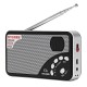A3 Digital FM Radio Receiver Speaker Support TF Card