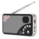 A3 Digital FM Radio Receiver Speaker Support TF Card A3 Digital FM Radio Receiver Speaker Support TF Card