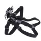 4-6 Inch Mobile Phone 360 Degree Rotation Holder Clip Breast Strap Mount Stabilizer for Phone DV Sport Camera