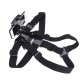 4-6 Inch Mobile Phone 360 Degree Rotation Holder Clip Breast Strap Mount Stabilizer for Phone DV Sport Camera 4-6 Inch Mobile Phone 360 Degree Rotation Holder Clip Breast Strap Mount Stabilizer for Phone DV Sport Camera