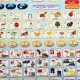Plastic Islamic Toy Learn Alphabet Quran Salat Duaa Rhymes Tablet PC Point Reader Plastic Islamic Toy Learn Alphabet Quran Salat Duaa Rhymes Tablet PC Point Reader