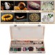 238 Pcs Rotary Tool Accessories Kit For Easy Cutting, Carving & Polishing Tool