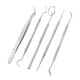 5pcs Stainless Oral Care Dental Tools Kit Dentist Teeth Clean Hygiene Picks Mirror Tool