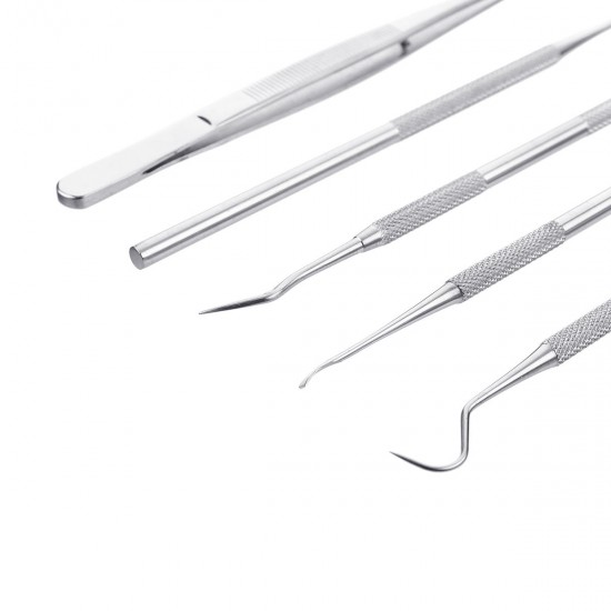 5pcs Stainless Oral Care Dental Tools Kit Dentist Teeth Clean Hygiene Picks Mirror Tool