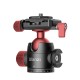 U-70 Creative Metal Dual Cold Shoe Tripod Ball Head with Quick Release Plate for DSLR Camera