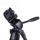 100BTF BY558 Foldable 53CM 151CM Tripod with Removable Ball Head Quick Release Plate Max Load 10KG 100BTF BY558 Foldable 53CM 151CM Tripod with Removable Ball Head Quick Release Plate Max Load 10KG