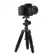 XTGP441 Portable Tripod 3 Sections Foldable Telescopic Tripod with Ball Head for DSLR Cameras XTGP441 Portable Tripod 3 Sections Foldable Telescopic Tripod with Ball Head for DSLR Cameras