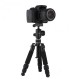 XTGP441 Portable Tripod 3 Sections Foldable Telescopic Tripod with Ball Head for DSLR Cameras