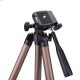 WT3130 Protable Tripod for Canon Nikon Sony DSLR Camera DV Camcorder