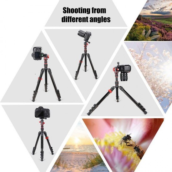 M5 Travel Camera Tripod Lightweight Aluminum Tripod Compact Portable Stand with 360 Degree Ball Head and Carry Bag Case