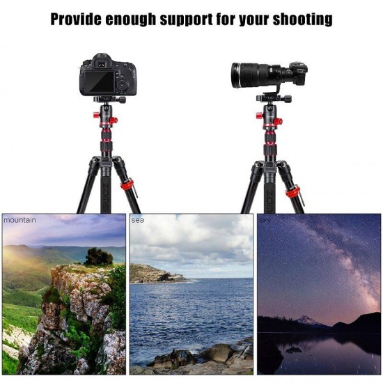 M5 Travel Camera Tripod Lightweight Aluminum Tripod Compact Portable Stand with 360 Degree Ball Head and Carry Bag Case M5 Travel Camera Tripod Lightweight Aluminum Tripod Compact Portable Stand with 360 Degree Ball Head and Carry Bag Case