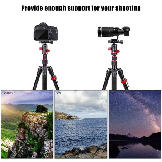 M5 Travel Camera Tripod Lightweight Aluminum Tripod Compact Portable Stand with 360 Degree Ball Head and Carry Bag Case