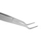 10Pcs 6inch Stainless Steel Dental Tweezers Surgical Lab Instruments Dentistry Tool 10Pcs 6inch Stainless Steel Dental Tweezers Surgical Lab Instruments Dentistry Tool