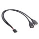 MotherBoard 9Pin Female Header to Dual USB 2.0 Female Adapter Cable Main board Turns USB2.0 Two Extension Line