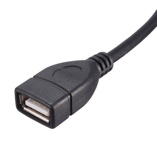 MotherBoard 9Pin Female Header to Dual USB 2.0 Female Adapter Cable Main board Turns USB2.0 Two Extension Line MotherBoard 9Pin Female Header to Dual USB 2.0 Female Adapter Cable Main board Turns USB2.0 Two Extension Line