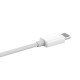 AL701 AL702 USB-C to USB-A Cables 3.3ft Charge and Sync Data Cable for Samsung Huawei AL701 AL702 USB-C to USB-A Cables 3.3ft Charge and Sync Data Cable for Samsung Huawei